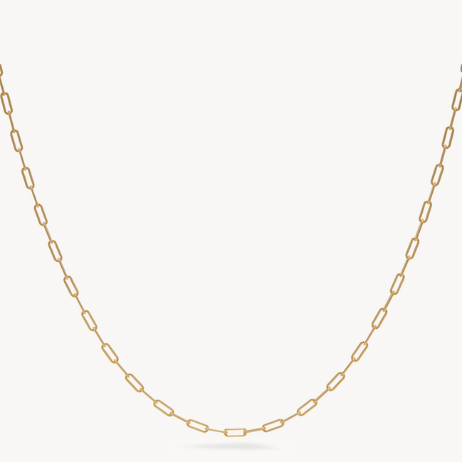 Essential Clip Chain Necklace Gold