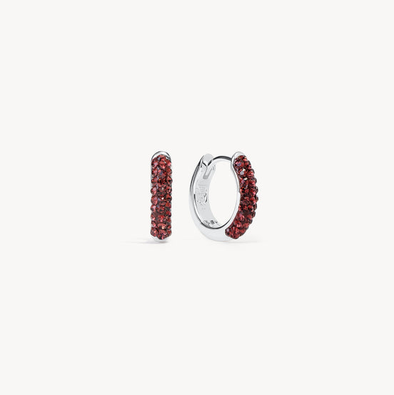 January Birthstone Always On Hoop Earrings