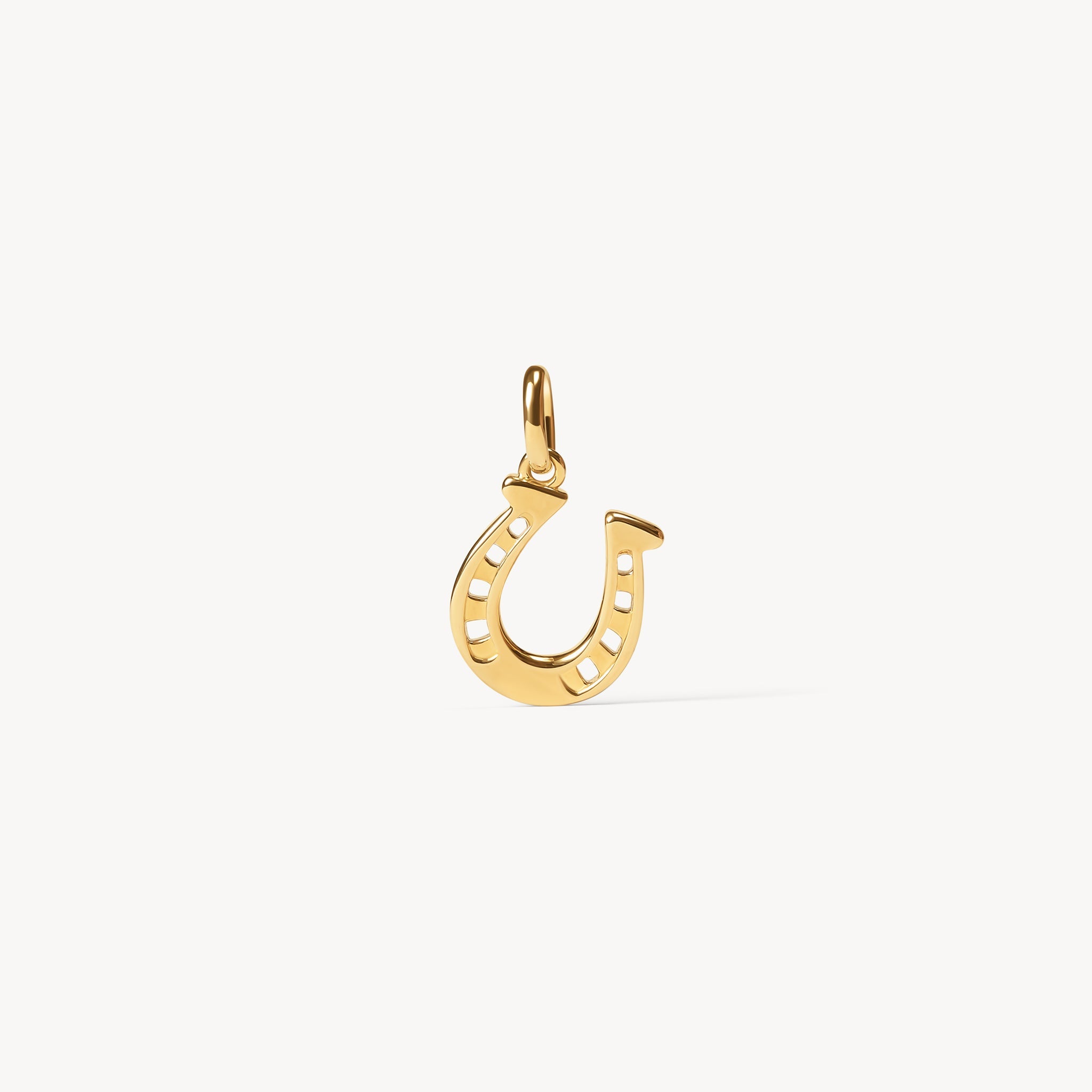 Reversible Horseshoe Charm