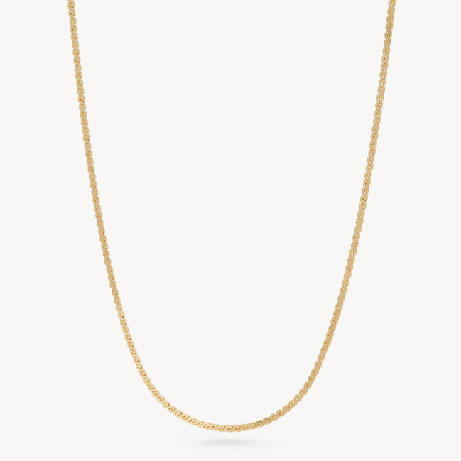 Serpentine Chain Necklace Gold