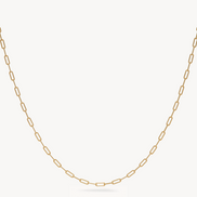 Essential Clip Chain Necklace Gold