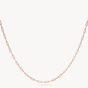 Essential Clip Chain Necklace Rose Gold