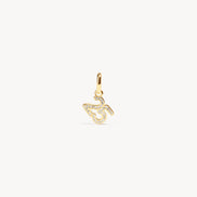 2025 Charm