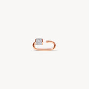 Carabiner Twist Link Charm Holder