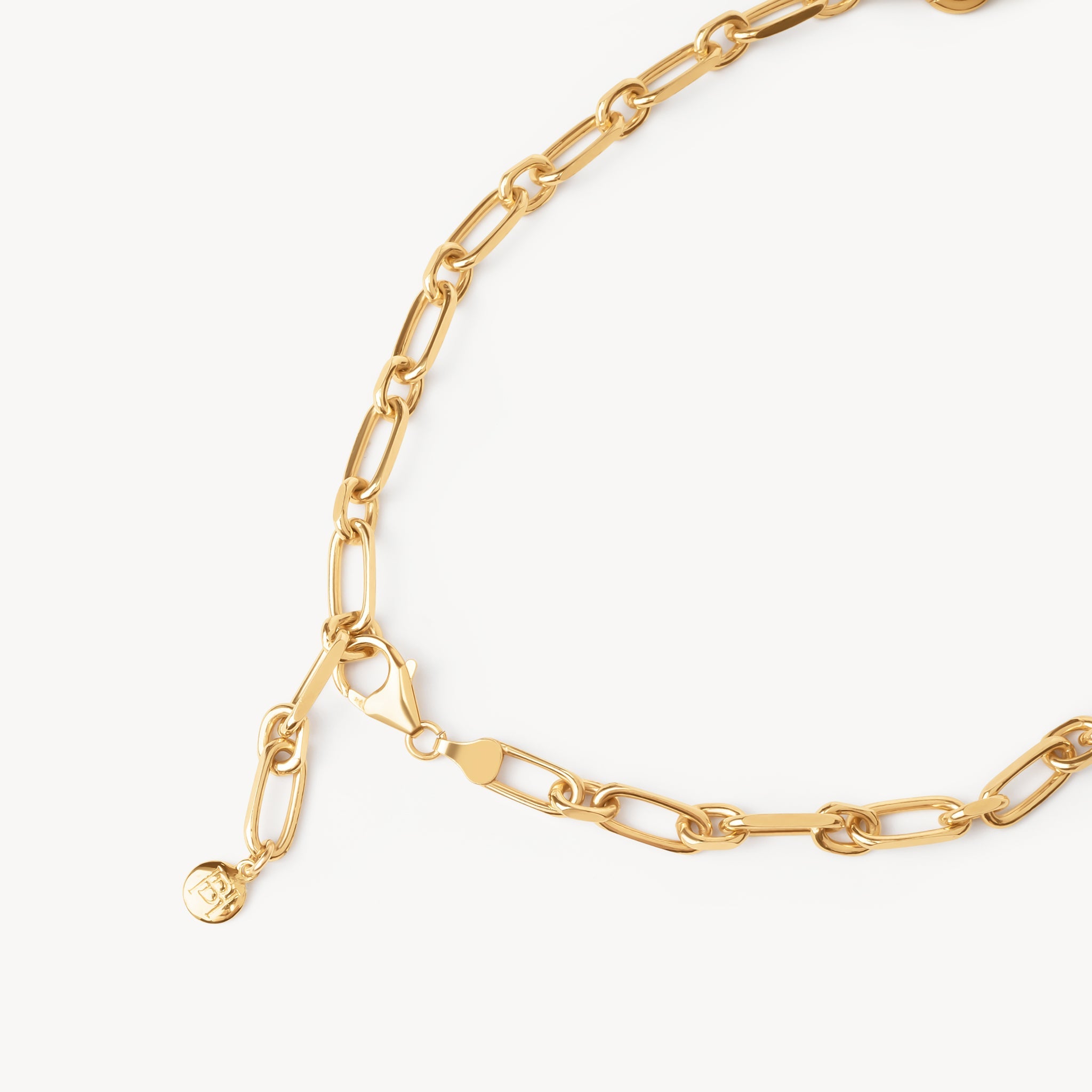 Multi-Station Charm Necklace closure