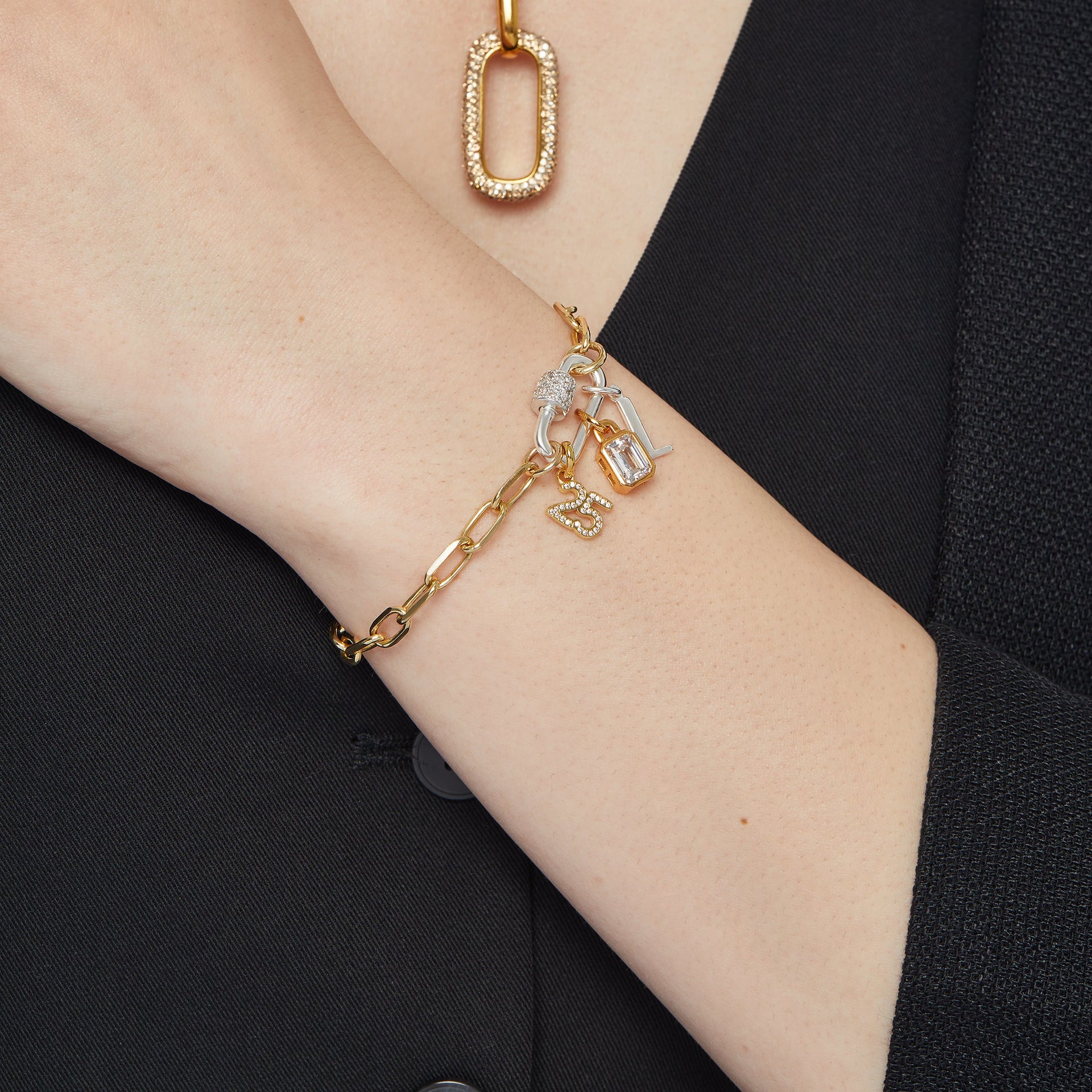 Silver Carabiner Twist Link Charm Holder and Gold 2025 Charm on model