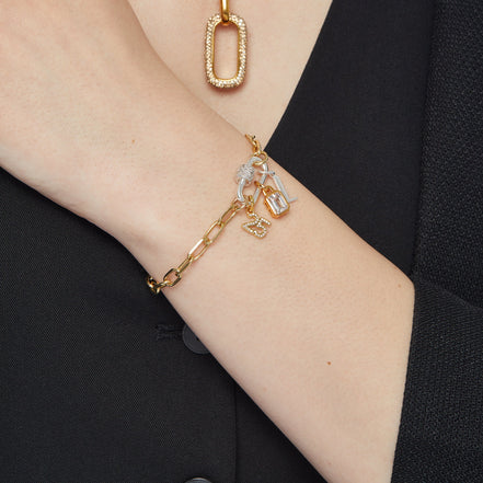 Silver Carabiner Twist Link Charm Holder and Gold 2025 Charm on model