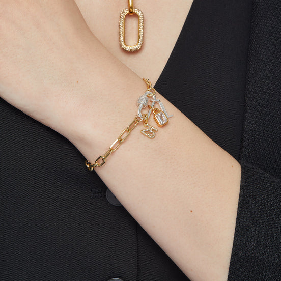 Silver Carabiner Twist Link Charm Holder and Gold 2025 Charm on model